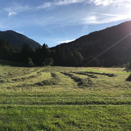 Appartement Chalet La Merlerie Morzine Dış mekan fotoğraf