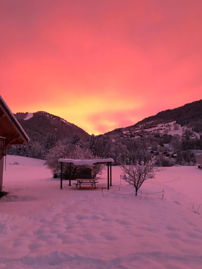 Appartement Chalet La Merlerie Morzine Dış mekan fotoğraf