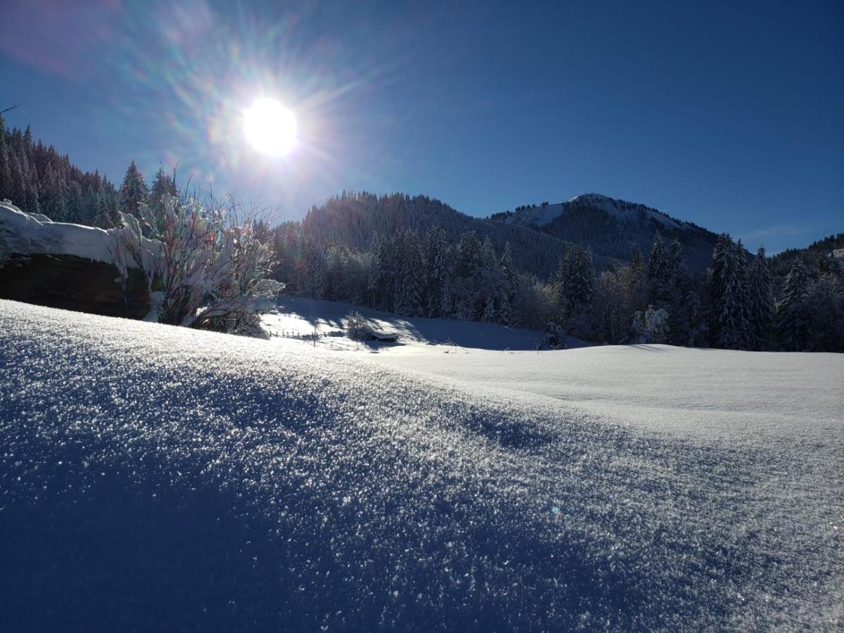 Appartement Chalet La Merlerie Morzine Dış mekan fotoğraf