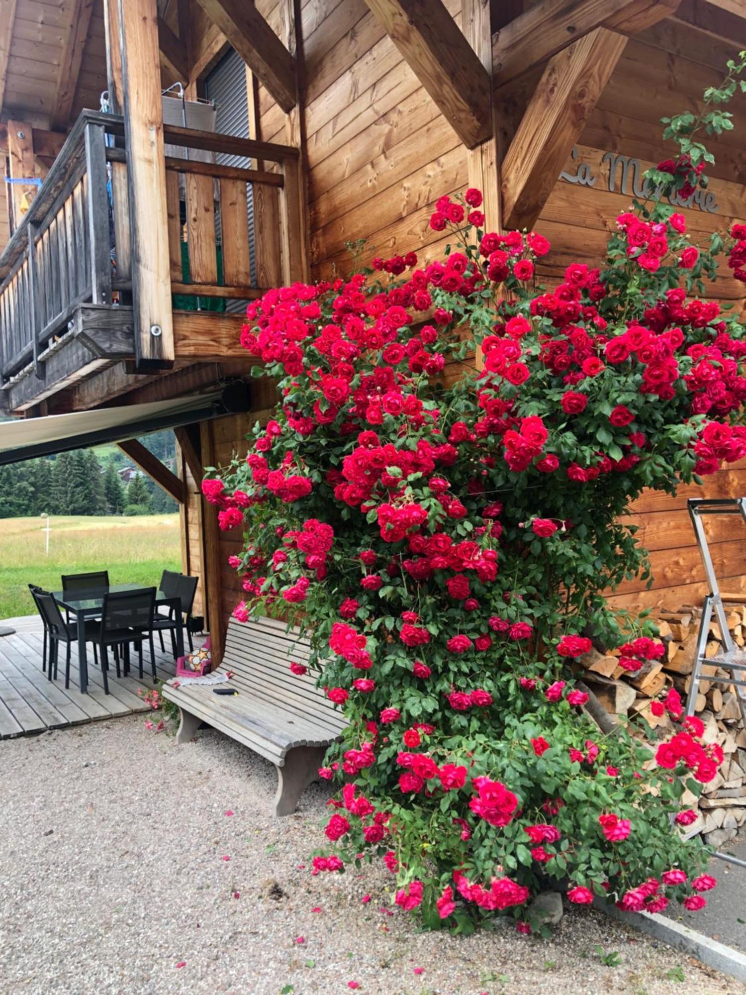 Appartement Chalet La Merlerie Morzine Dış mekan fotoğraf