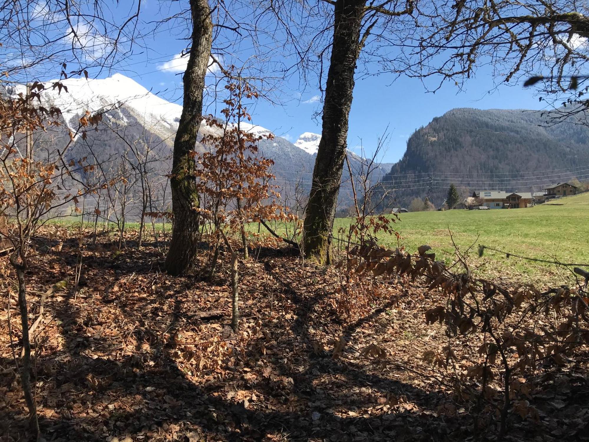 Appartement Chalet La Merlerie Morzine Dış mekan fotoğraf