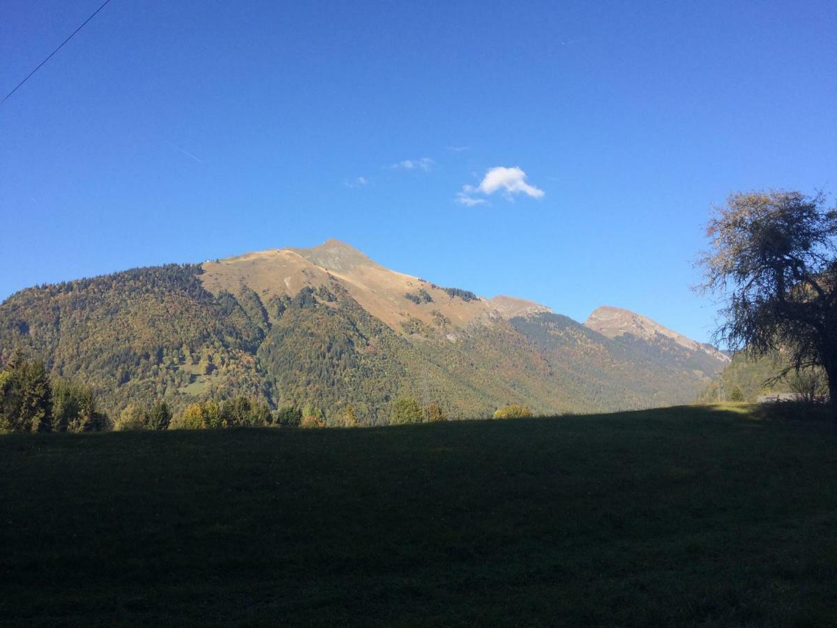 Appartement Chalet La Merlerie Morzine Dış mekan fotoğraf